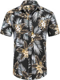 COOFANDY hawaii stílusú ing (nagy méretben is)
